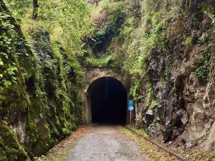 Tren tunel zaharraren ahoa, goroldioz eta iratzez estalia